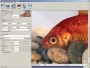 Shortcut PhotoZoom Professional Прикладная программа CD-ROM, 2005 г Издатель: Shortcut; Разработчик: Shortcut коробка RETAIL BOX Что делать, если программа не запускается? инфо 3221z.