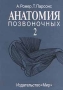 Анатомия позвоночных Том 2 Издательство: Мир, 1992 г Мягкая обложка, 406 стр ISBN 5-03-000292-8, 5-03-000290-1, 0-03-058446-9 Тираж: 17000 экз Формат: 84x104/32 (~220x240 мм) инфо 6627t.